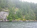 Pitt_River_06.JPG