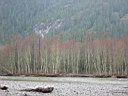Squamish_River.JPG