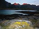 Lofoten_Day6_17.JPG