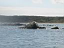 Wales_Sea_Kayaking_0020.JPG