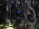 Kilimanjaro11.JPG
