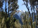 Kilimanjaro13.JPG