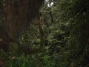 Kilimanjaro4.JPG