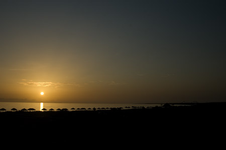 NIKON D70 - 24.0-85.0 mm f/3.5-4.5 - 1/500 sec at f / 8.0